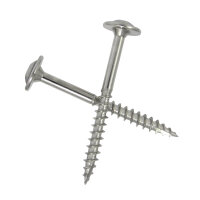 Tellerkopf-Holzbauschraube mit Schneidkerbe 5,0 x 90 mm aus Edelstahl V2A von oben